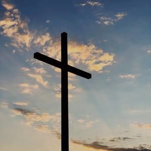 Meet your Posher, Ed